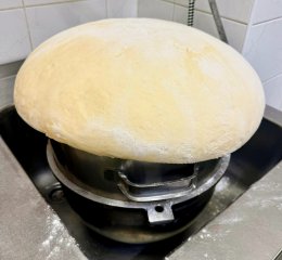 Oběd 20.01.2026 tvarohové buchty 